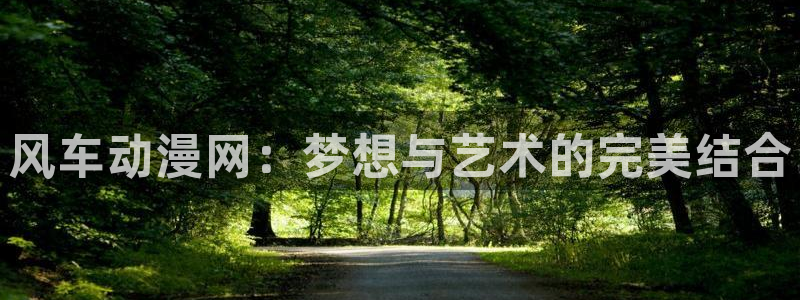 age动漫官网在线入口：风车动漫网：梦想与艺术的完美结合